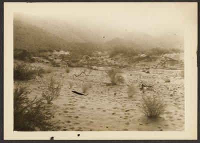 [Coyote Canyon] da Louis Fleckenstein