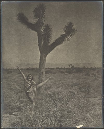 [Ballerina a Joshua Tree] da Louis Fleckenstein