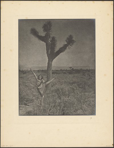  da Louis Fleckenstein