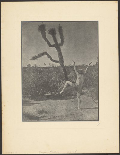 Maestro di ballo da Louis Fleckenstein