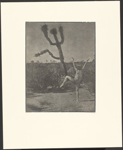 Maestro di ballo da Louis Fleckenstein