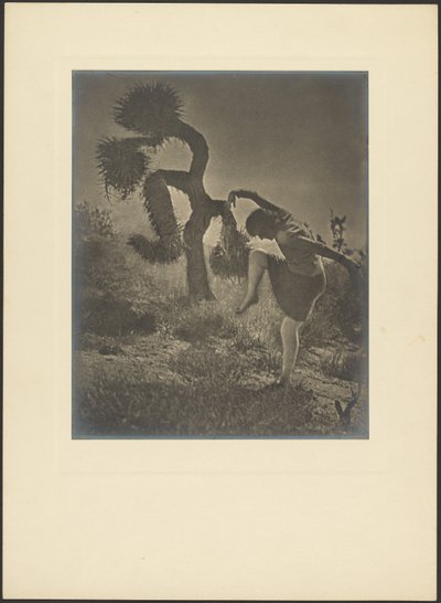  da Louis Fleckenstein