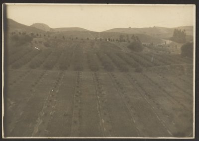 [Paesaggio agricolo] da Louis Fleckenstein