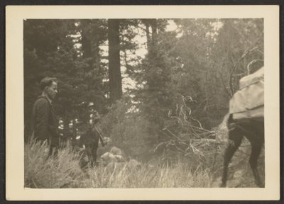 [Figure in un paesaggio boschivo]. da Louis Fleckenstein