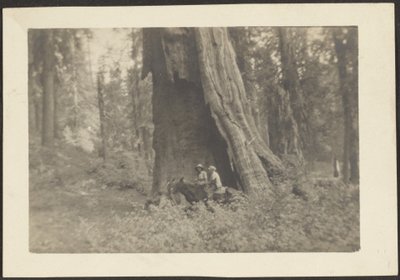 [Figure a cavallo nella cavità di un grande albero]. da Louis Fleckenstein