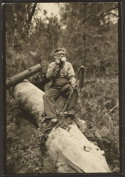 [Fleckenstein on a Log] da Louis Fleckenstein