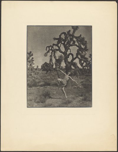 Ispirazione della danza da Louis Fleckenstein