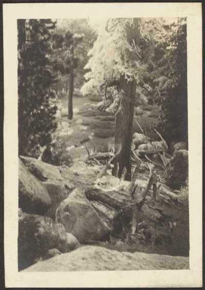 [Paesaggio] da Louis Fleckenstein