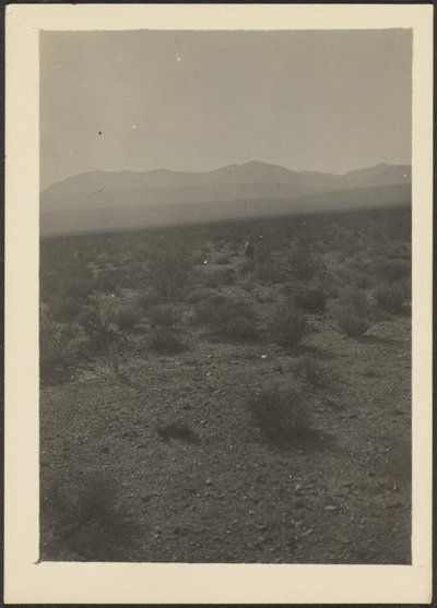[Paesaggio] da Louis Fleckenstein