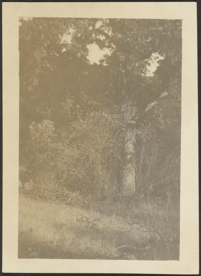 [Paesaggio] da Louis Fleckenstein