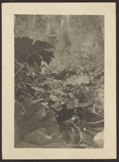 [Paesaggio] da Louis Fleckenstein