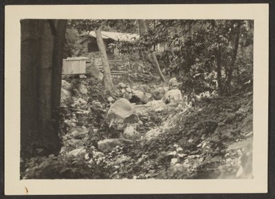 [Paesaggio] da Louis Fleckenstein