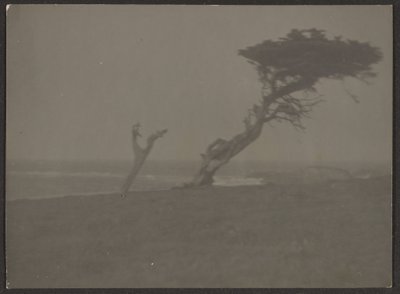[Paesaggio] da Louis Fleckenstein