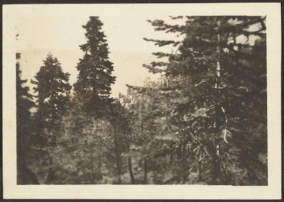 [Paesaggio] da Louis Fleckenstein