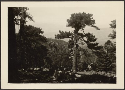 [Paesaggio] da Louis Fleckenstein