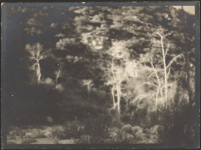 [Paesaggio] da Louis Fleckenstein
