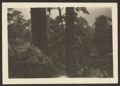 [Paesaggio] da Louis Fleckenstein
