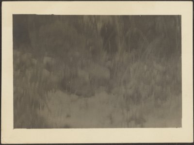 [Paesaggio] da Louis Fleckenstein