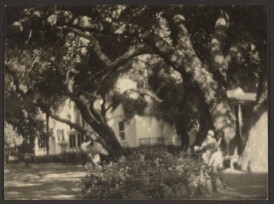 [Paesaggio] da Louis Fleckenstein