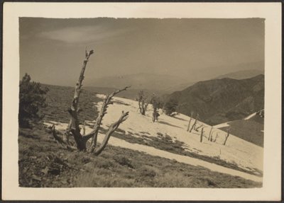 [Paesaggio] da Louis Fleckenstein