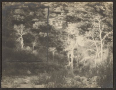 [Paesaggio con alberi chiari] da Louis Fleckenstein