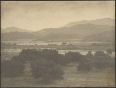 [Paesaggio con alberi bassi] da Louis Fleckenstein