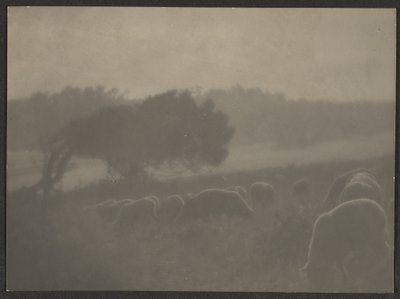 [Paesaggio con pecore] da Louis Fleckenstein