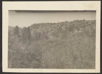 [Paesaggio con arbusti] da Louis Fleckenstein