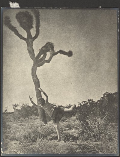 Leggero e aggraziato - Giosuè danzante da Louis Fleckenstein