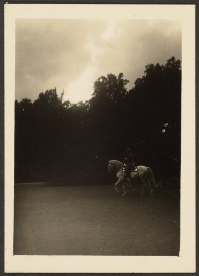 [Uomo a cavallo con alberi scuri e cielo chiaro] da Louis Fleckenstein
