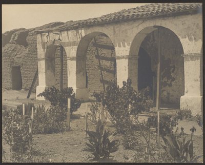 [Missione Giardino] da Louis Fleckenstein