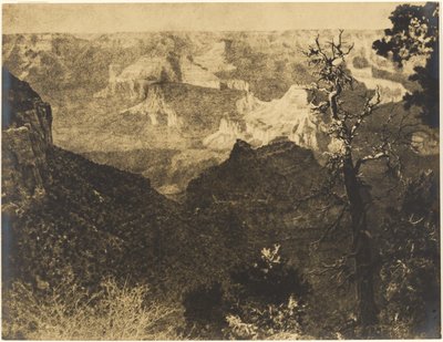 [Paesaggio montano con albero spoglio] da Louis Fleckenstein