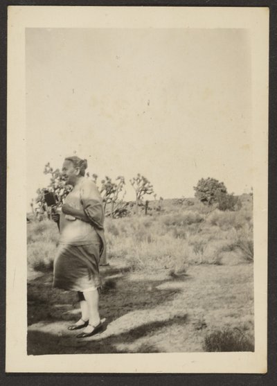 [Mrs Fleckenstein in Landscape] da Louis Fleckenstein