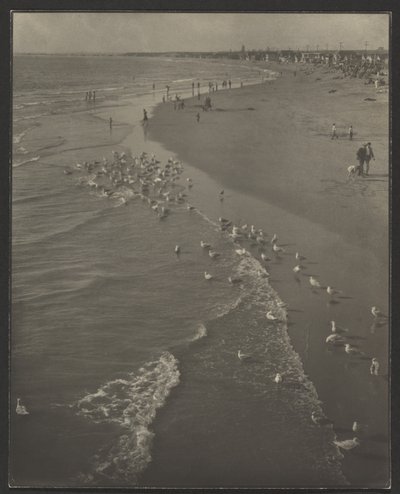 Newport Beach da Louis Fleckenstein