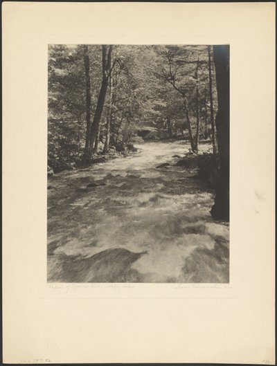 Rapide del fiume Merced - Isole felici da Louis Fleckenstein