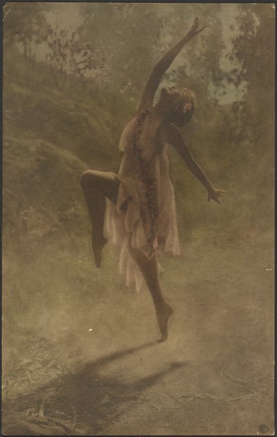 Danza delle rose del Sud da Louis Fleckenstein