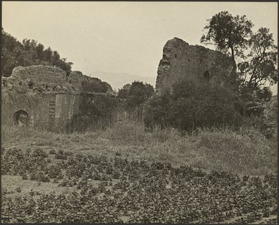 Rovine della Missione Purisima Concepcion da Louis Fleckenstein