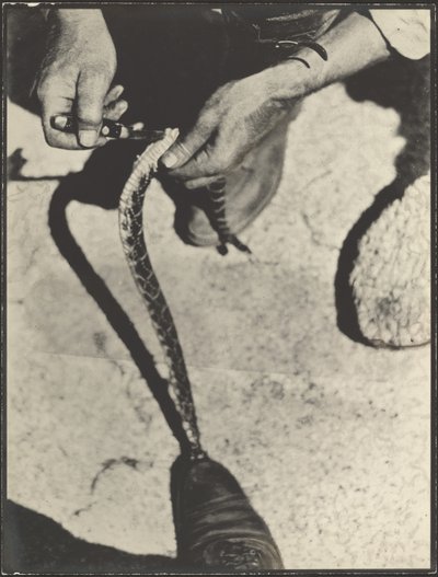  da Louis Fleckenstein