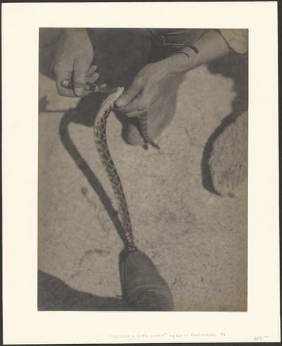  da Louis Fleckenstein