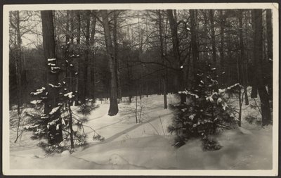 [Paesaggio innevato] da Louis Fleckenstein