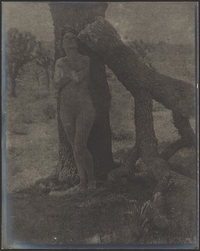 Spirito del Giosuè da Louis Fleckenstein