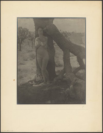  da Louis Fleckenstein