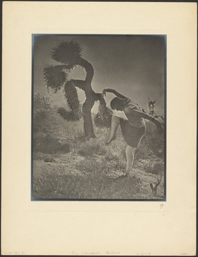  da Louis Fleckenstein