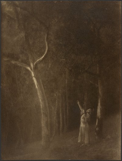 [Donna che prega tra gli alberi] da Louis Fleckenstein