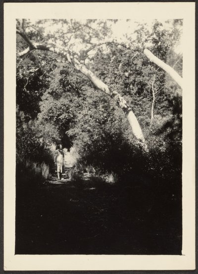 [Donna su sentiero nel bosco] da Louis Fleckenstein