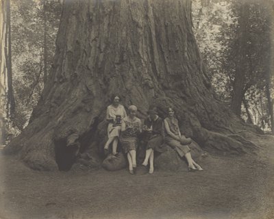 [Donne con telecamere alla base di un albero]. da Louis Fleckenstein
