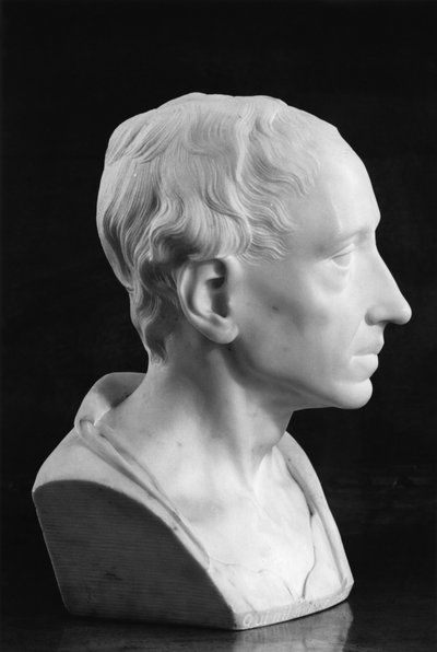 Busto di Alexander Pope da Louis Francois Roubillac