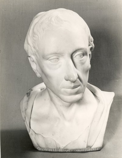 Busto di Alexander Pope da Louis Francois Roubillac