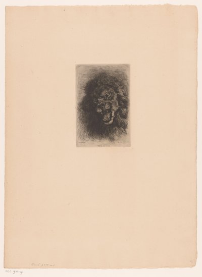 Testa di leone da Louis Ghémar