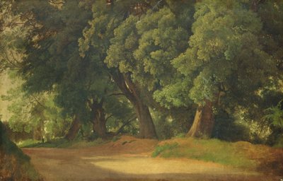 Querce in Holstein da Louis Gurlitt